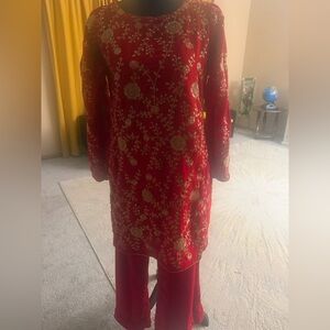 Indian Pakistani velvet embroidered dress